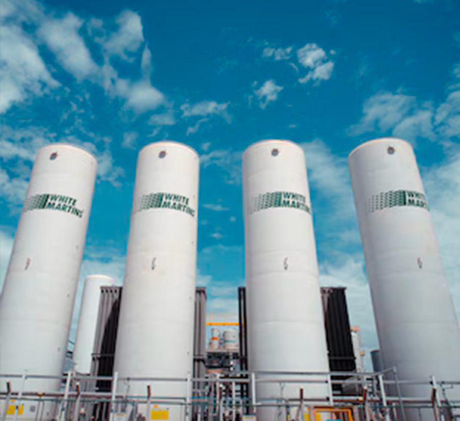 case-white-martins_3